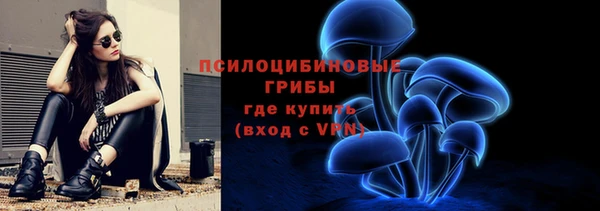 ПСИЛОЦИБИНОВЫЕ ГРИБЫ Абдулино