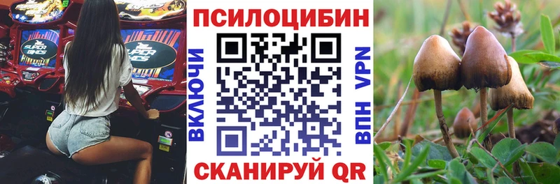 Псилоцибиновые грибы ЛСД  OMG ONION  Артём 